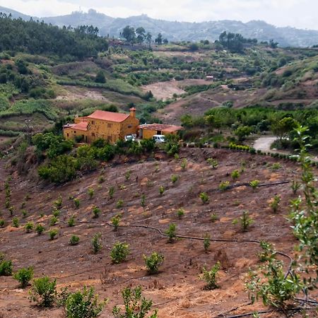 Las Casas De Lola Y Rafael Moya  Bagian luar foto