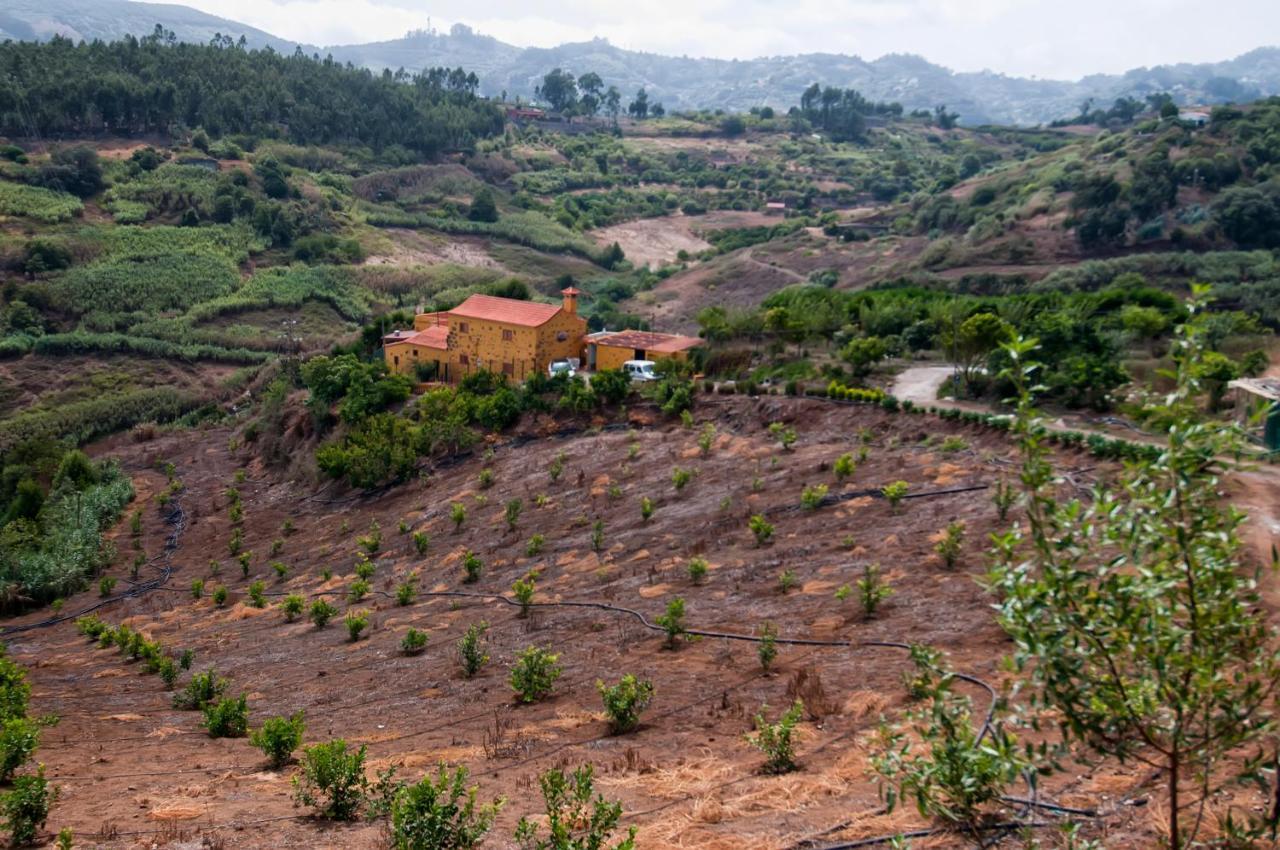 Las Casas De Lola Y Rafael Moya  Bagian luar foto
